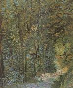 Vincent Van Gogh Path in the Woods (nn04) oil painting picture wholesale